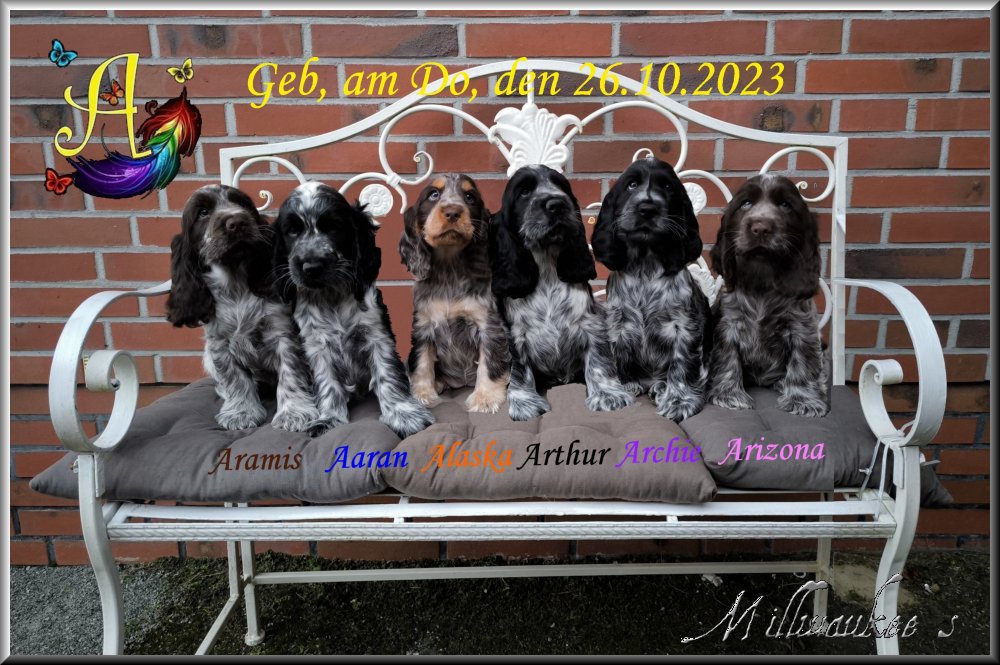 Ikki azoli difaliya Ikki azoli difaliya