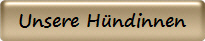 Unsere H�ndinnen