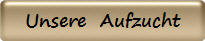 Unsere  Aufzucht